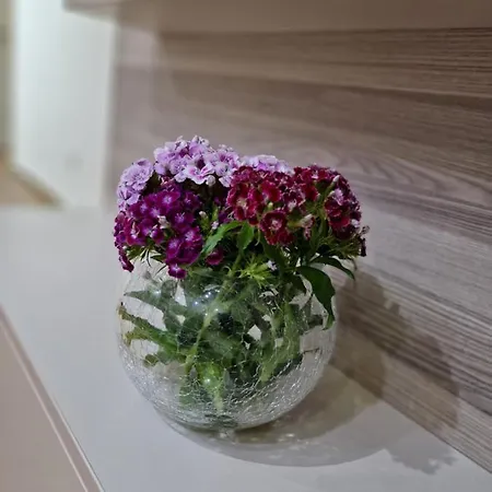 Apartman - Most 2 Apartment
